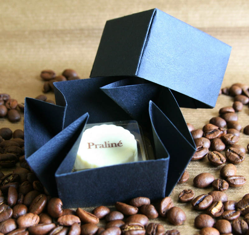 Promo Sweets - Praline with Hazel Nut Cream Filling in a box, 13g